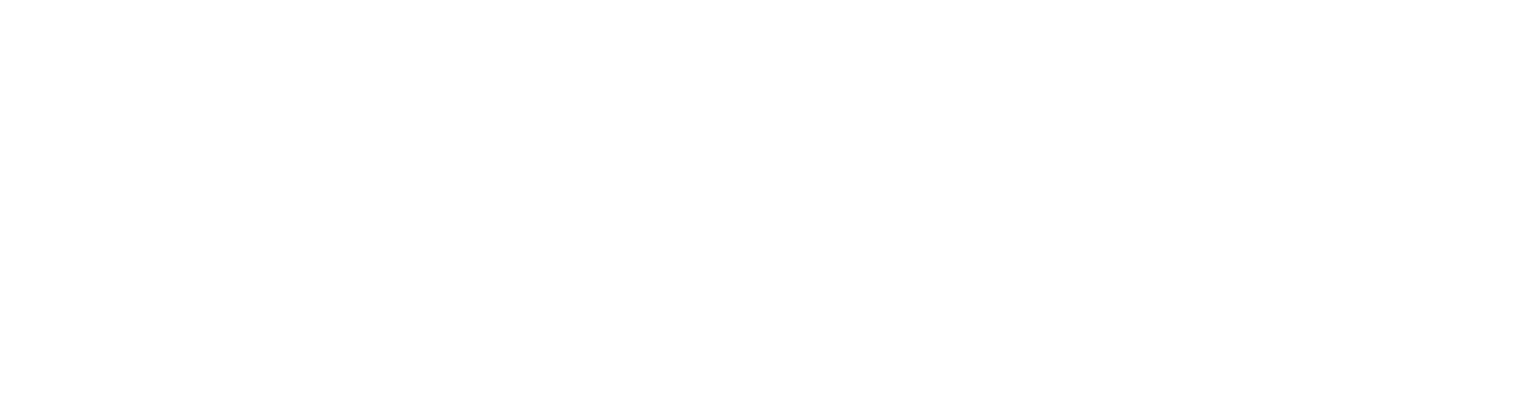 Logo FLEX - Agence de conseil et formation en Haïti